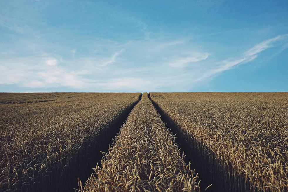 Could Farmville become real world?